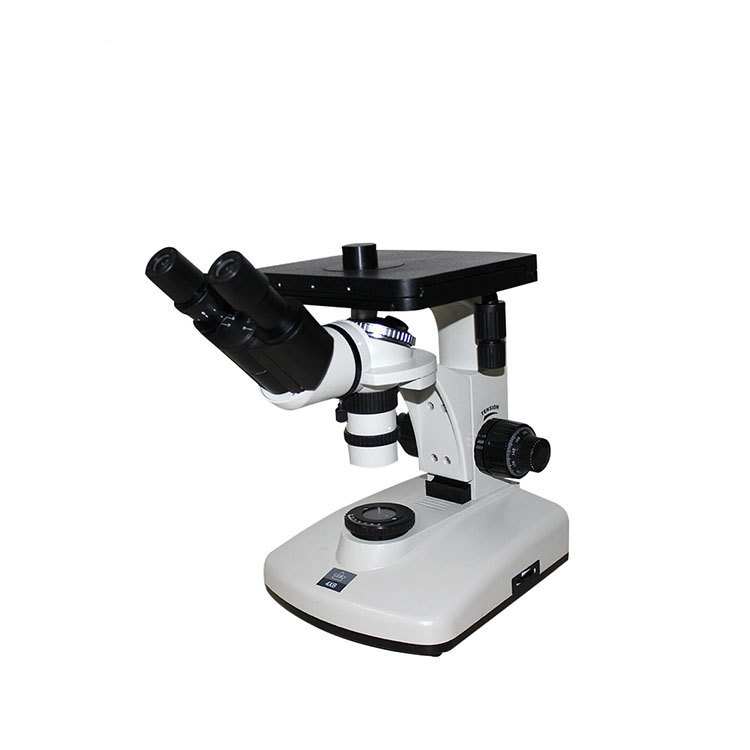 Microscopio metallurgico binoculare invertito HST 4XB