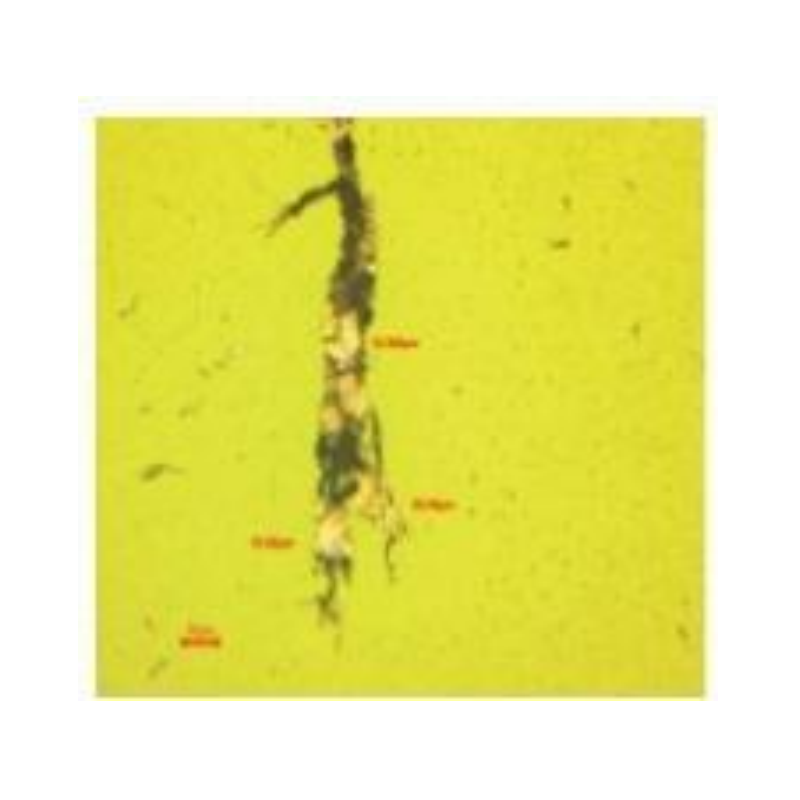 HST--FG8 + HST--X6  Dual Ferrograph Ferrograph + Microscope + Spectrum Management System